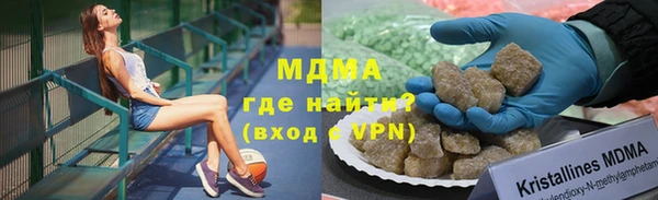 индика Алзамай