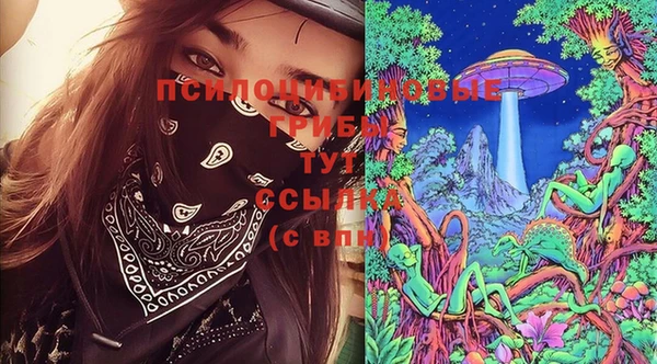 индика Алзамай