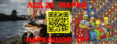 индика Лесосибирск