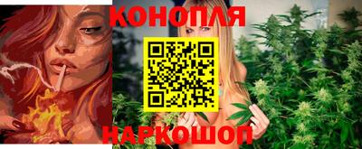 индика Лесосибирск