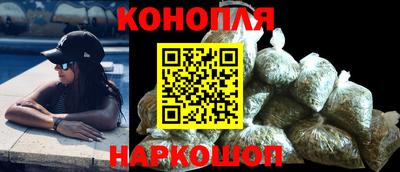 индика Лесосибирск
