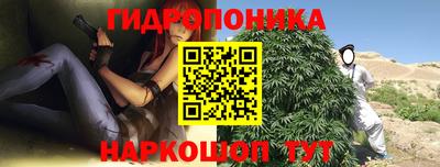 индика Лесосибирск