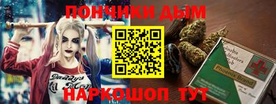 индика Лесосибирск
