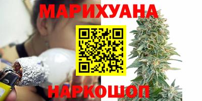 индика Лесосибирск