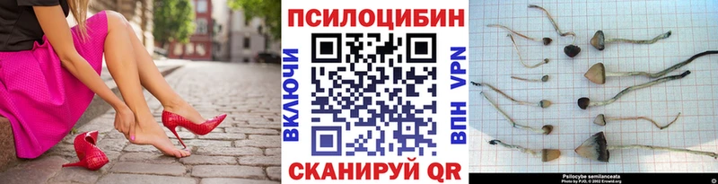 где купить наркоту  Димитровград  маркетплейс формула  Псилоцибиновые грибы MAGIC MUSHROOMS 